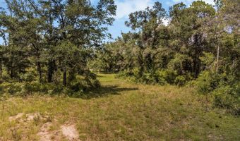 TBD 73rd Trl, Bell, FL 32619