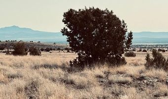 90 B Volcano Trl, Ash Fork, AZ 86320