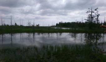 3305 El Cajon Beach Rd, Alpena, MI 49707