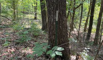 0 County Road 217, Blue Springs, MS 38828