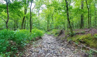 1 Camino Rd, Hot Springs Village, AR 71909