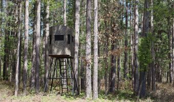 La Grant Road, Alger, MI 48610