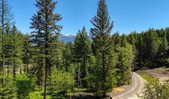 615 Swan Hill Dr, Bigfork, MT 59911