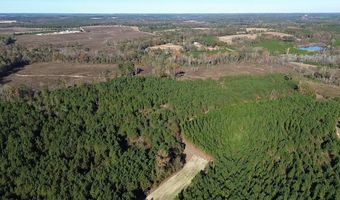 1228 River Rd, Ariton, AL 36311