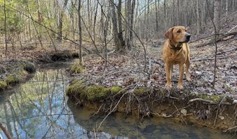 MOUNTAIN CUT RD lot B, Appomattox, VA 24522