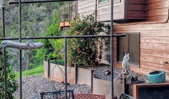 255 Little Pinon, Basalt, CO 81621