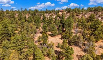16556 Buena Vis, Boncarbo, CO 81024