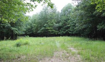 TBD CR 4670, De Kalb, TX 75559