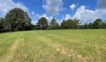 3945 Old Trezevant Rd, Atwood, TN 38220