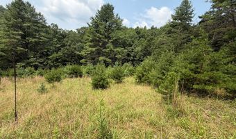 Hall Hollow Road, Austinville, VA 24312