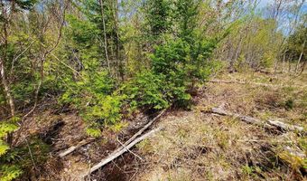 Cone Road lot # 2, Amity, ME 04471