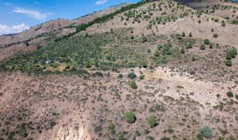 20 42 ACRES SWIFT CREEK Dr, Afton, WY 83110