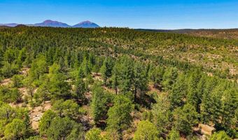 17775 County Road 51, Boncarbo, CO 81024