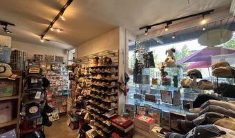 635 E Cooper Ave, Aspen, CO 81611