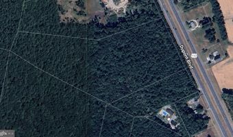 RT 113, Georgetown, DE 19947