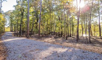 LOT 1 ROCK RIDGE SUBDIVISION, Arley, AL 35541