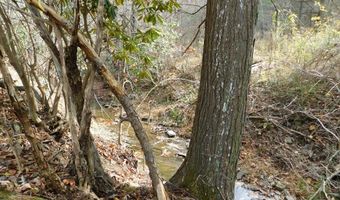 290 Angels Pass Dr Lot 1, Bastian, VA 24314