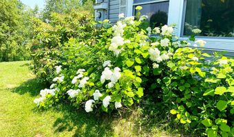 9 Buick St, Barre, VT 05641