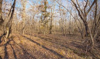 Farris Rd, Atoka, OK 74525