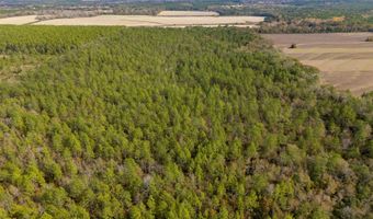 N Bob Brooks Road, Baker, FL 32531