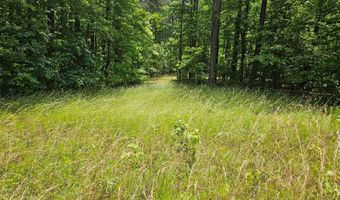 26 55 Acres Namozine Rd, Amelia Court House, VA 23002