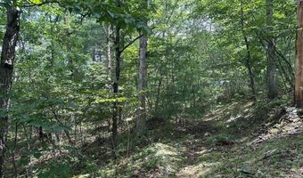 Lot 24 MT SNOW COURT, Basye, VA 22810