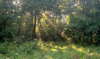 County Road P-305, Ava, MO 65608