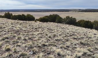 15 County Rd N8641, Concho, AZ 85924