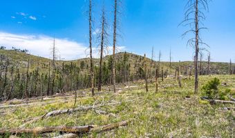 2384 Rist Creek Rd, Bellvue, CO 80512