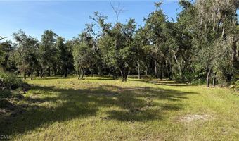 1144 NW Peace Pointe Dr, Arcadia, FL 34266