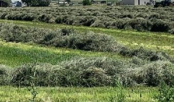 Lot 1 Highway 550, Montrose, CO 81403