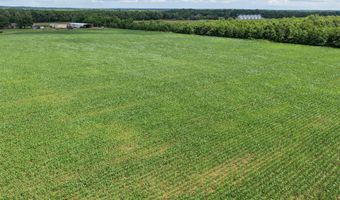 Dummyline Road, Batesville, MS 38606