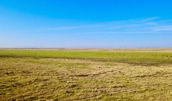 Oldham County Grass +/- 1 478, Adrian, TX 79001