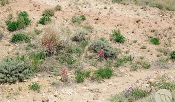 COS 947 Tract 11, Belfry, MT 59008