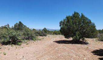 Ranch And Cattle lot 13, Ash Fork, AZ 86320