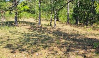601 HERBERT BROWN Rd, Auburn, AL 36830