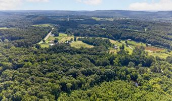 3707 Vaughn Rd, Altoona, AL 35952