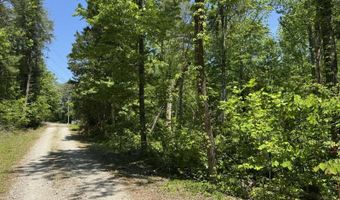 0 94+/- Acres Lakeview Dr, Albany, KY 42602