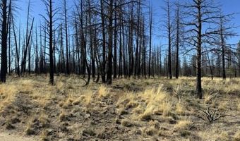 Mahogany Ln, Beatty, OR 97621
