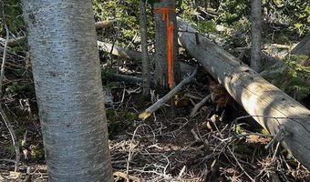 115 S Olympic Dr, Brian Head, UT 84719