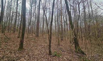 13 Toney Drive, Altoona, AL 35952
