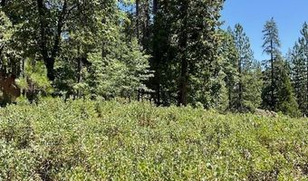 1943 Lightning Ln, Arnold, CA 95223