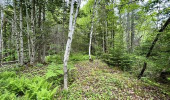 M5 L27-3 Marks Road, Albion, ME 04910