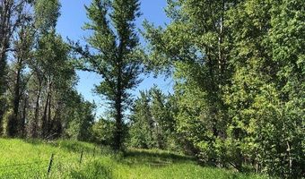 Indigo, Bozeman, MT 59715