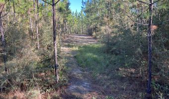 259 Forest Lake Rd, Beaumont, MS 39423