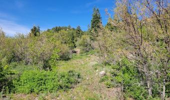 Braffits Creek Lot 61 & 62, Brian Head, UT 84719