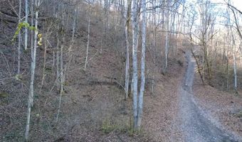 14001 Ridgeview Nellis Rd, Ashford, WV 25142