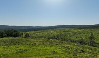D4289 Road, Antlers, OK 74536