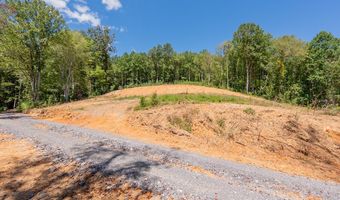 Lot 20 Clear Fork Creek Road, Bastian, VA 24314