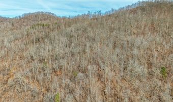 9999 Honeycutt Branch Turkey Crk, Barbourville, KY 40906